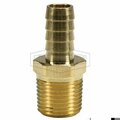 Dixon Hose Barb Fitting, 1/8 x 3/8 in Nominal, MNPT x Hose Barb End Style, Brass 1020602CLF
